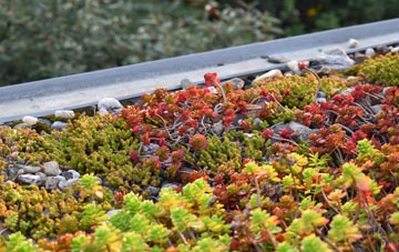 the cost of Knodishall green roof installation